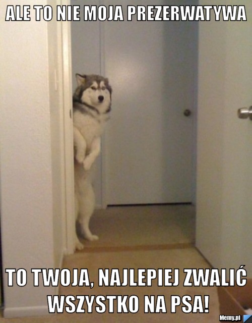 Ale to nie moja prezerwatywa to twoja, najlepiej zwalić wszystko na psa!