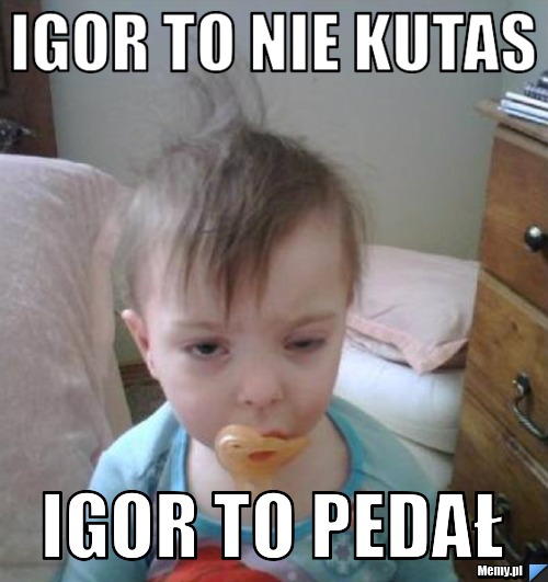 Igor To Nie Kutas Igor To Pedał Memypl