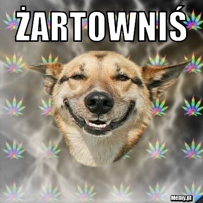 ŻARTOWNIŚ 
