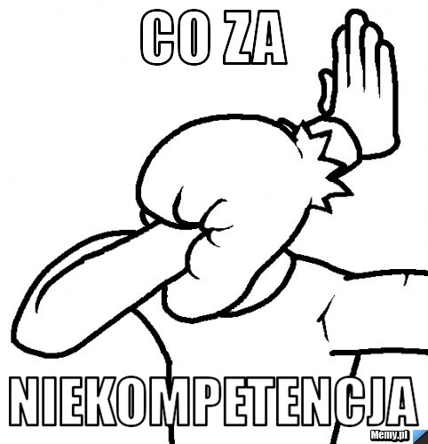 Co za niekompetencja