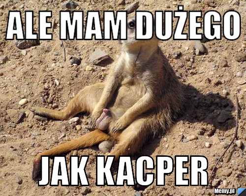 Ale mam dużego  jak kacper