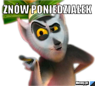 Znów poniedziałek 