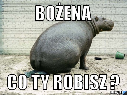 Bożena co ty robisz ? 