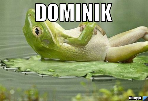 Dominik 