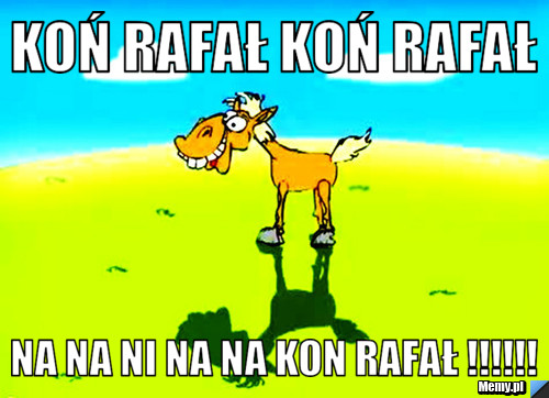 Koń rafał koń rafał  na na ni na na kon rafał !!!!!!