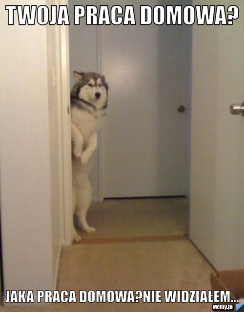Twoja praca domowa? Jaka praca domowa?Nie widziałem...