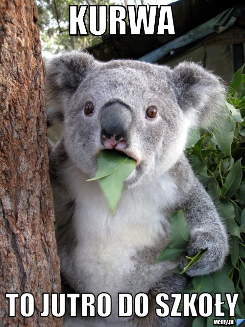 Kurwa  to jutro do szkoły