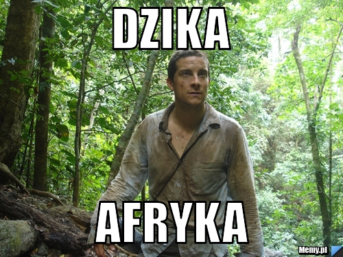 Dzika  afryka