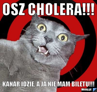 OSZ CHOLERA!!! KANAR IDZIE, A JA NIE MAM BILETU!!!