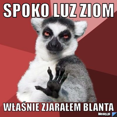 Spoko luz ziom właśnie zjarałem blanta