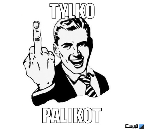 Tylko palikot