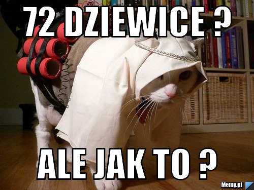 72 dziewice ? Ale jak to ?