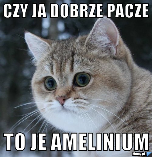 Czy ja dobrze pacze to je amelinium 
