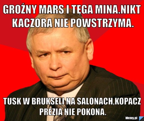 Groźny mars i tęga mina.Nikt kaczora nie powstrzyma. Tusk w Brukseli na salonach,Kopacz prezia nie pokona.