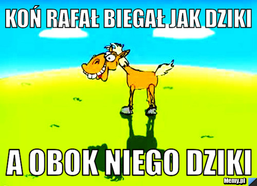 Koń rafał biegał jak dziki a obok niego dziki