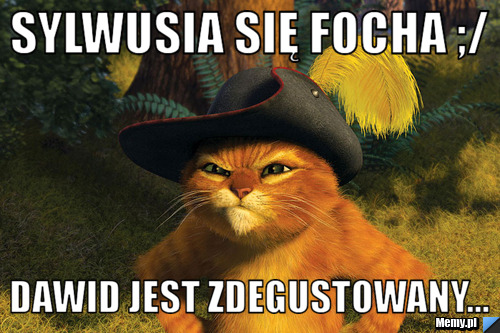 Sylwusia się focha ;/ Dawid jest zdegustowany...