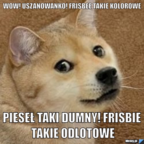 Wow! uszanowanko! Frisbee takie kolorowe Pieseł taki dumny! Frisbie takie odlotowe