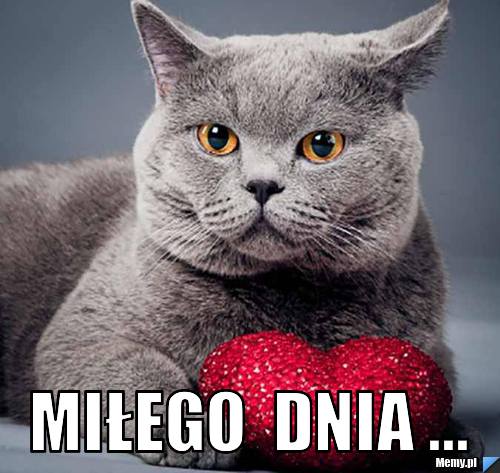  MIŁEGO  DNIA ...