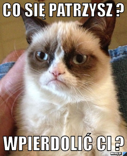 Co się patrzysz ? Wpierdolić ci ?