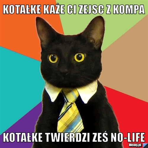 Kotałke każe ci zejsc z kompa  kotałke twierdzi ześ NO-LIFE