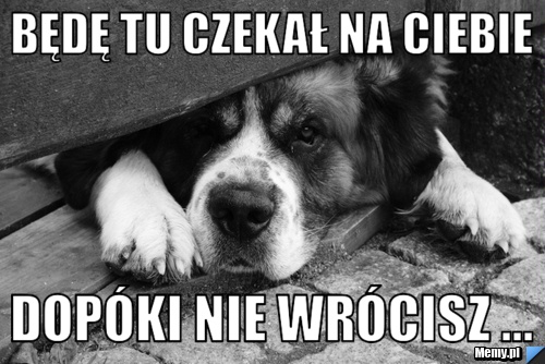 Będę tu czekał na ciebie dopóki nie wrócisz ...