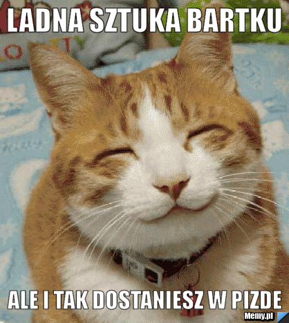 Ladna sztuka bartku ale i tak dostaniesz w pizde
