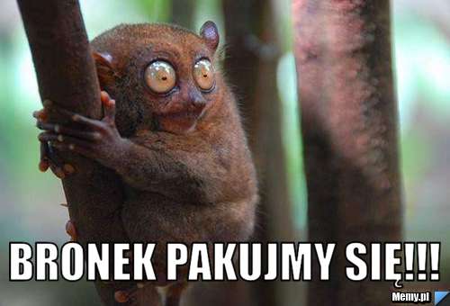  bronek pakujmy się!!!