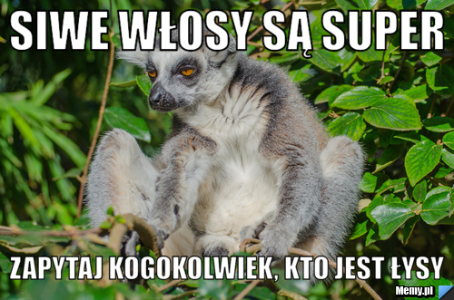 Siwe włosy są super Zapytaj kogokolwiek, kto jest łysy