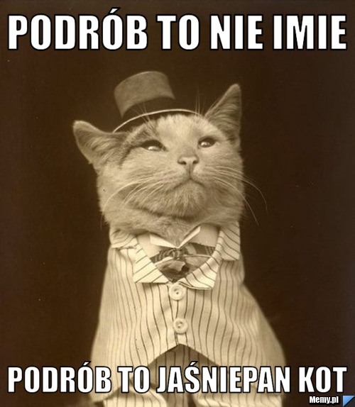 Podrób to nie imie podrób to jaśniepan kot