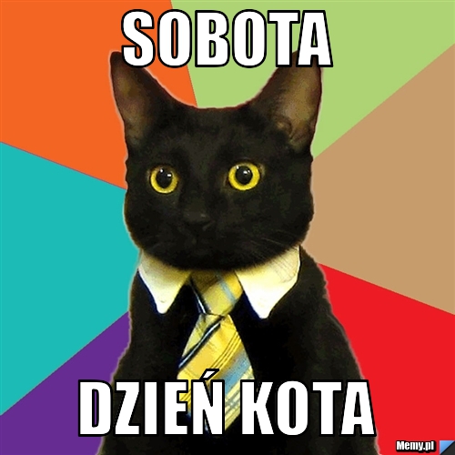 Sobota  DZIEŃ KOTA