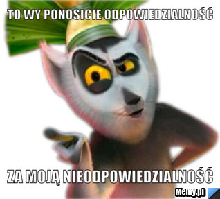 To Wy ponosicie odpowiedzialność Za moją nieodpowiedzialność