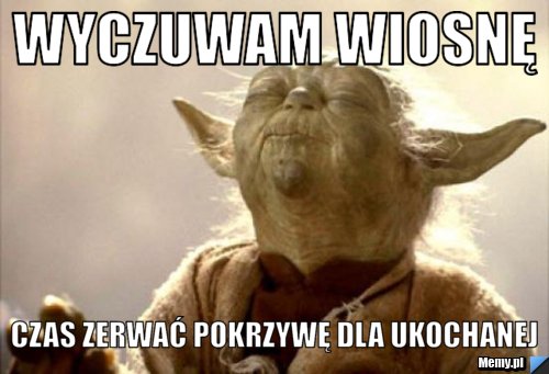 Wyczuwam wiosnę czas zerwać pokrzywę dla ukochanej