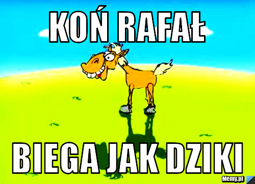 KOń rafał biega jak dziki