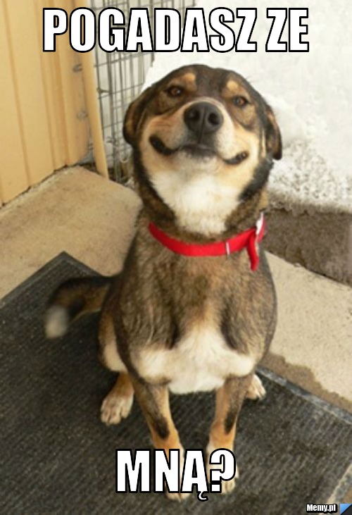 Pogadasz ze mną?