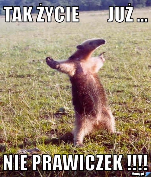 Tak życie        już ... nie prawiczek !!!!