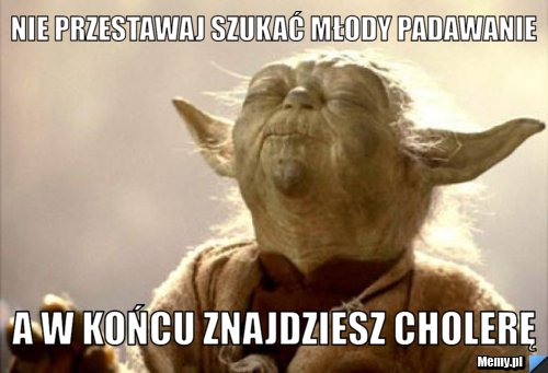 NIE PRZESTAWAJ SZUKAĆ MŁODY PADAWANIE A W KOŃCU ZNAJDZIESZ CHOLERĘ