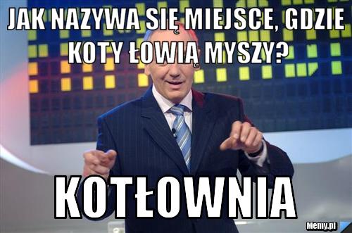 Jak nazywa się miejsce, gdzie koty łowią myszy? kotłownia