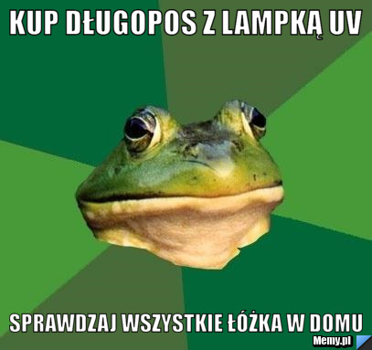 Kup długopos z lampką uv  sprawdzaj wszystkie łóżka w domu