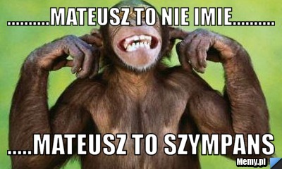 ..........Mateusz to nie imie.......... .....Mateusz to szympans
