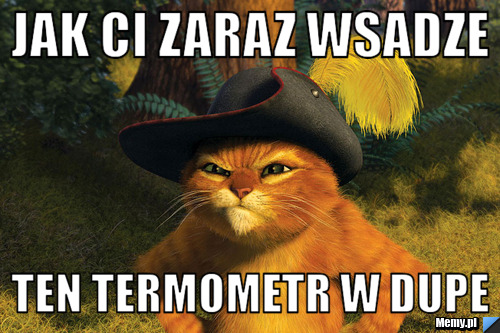 Jak ci zaraz wsadze Ten termometr w dupe