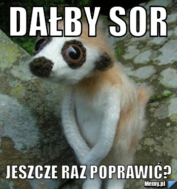 Dałby sor jeszcze raz poprawić?