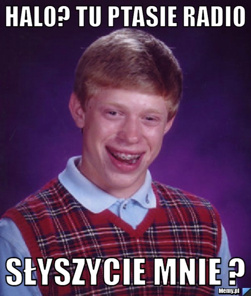 Halo? Tu ptasie radio Słyszycie mnie ?