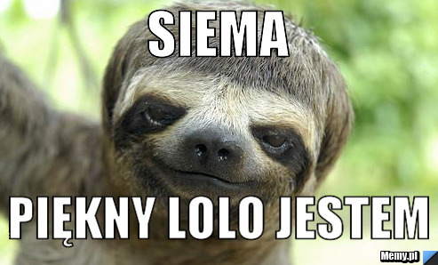 Pi?kny lolo jestem piękny lolo jestem