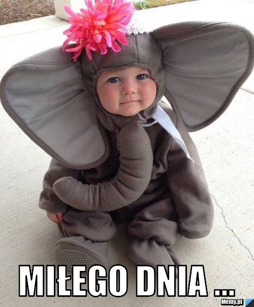  MIŁEGO DNIA ...