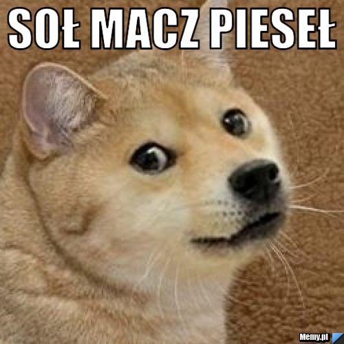 Soł macz Pieseł 