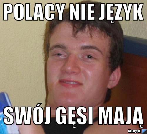 Polacy nie język swój gęsi mają