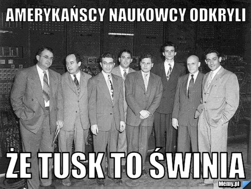 Amerykańscy naukowcy odkryli że tusk to świnia