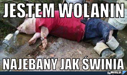 Jestem Wolanin Najebany jak świnia