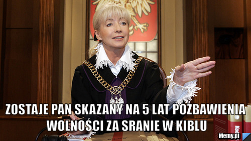  zostaje pan skazany na 5 lat pozbawienia wolności za sranie w kiblu