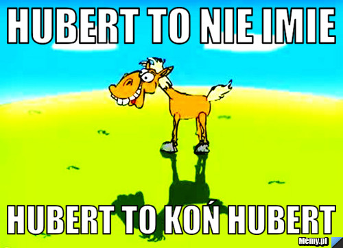 Hubert To nie imie  Hubert to Koń Hubert